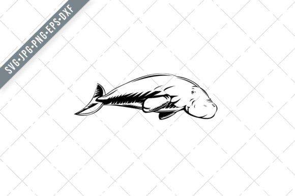 Download Dugong Medium-Sized Marine Mammal&nbsp; - Medium Collection