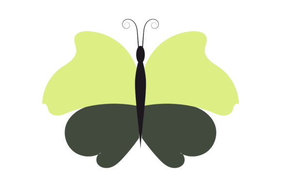 Download Butterfly Tropical Pretty Design - Pretty Collection