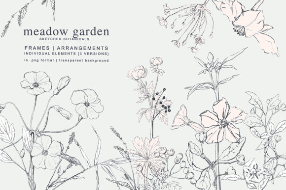 Download Pencil Sketched Botanicals Set - Pencil Collection