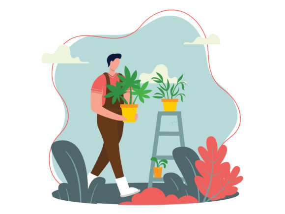 Download Plant Flowers in the Planting Medium - Medium Collection